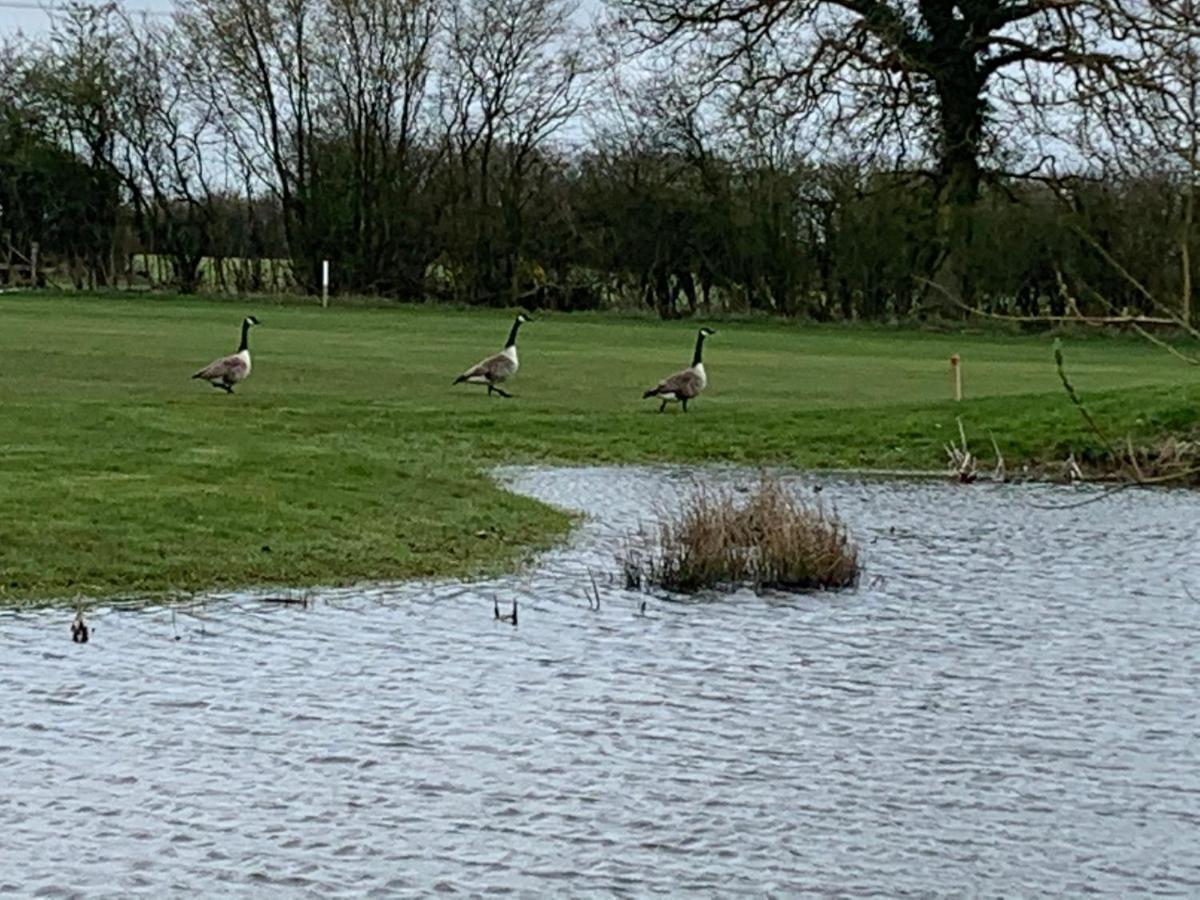 Chalet Golf Club Silverstone