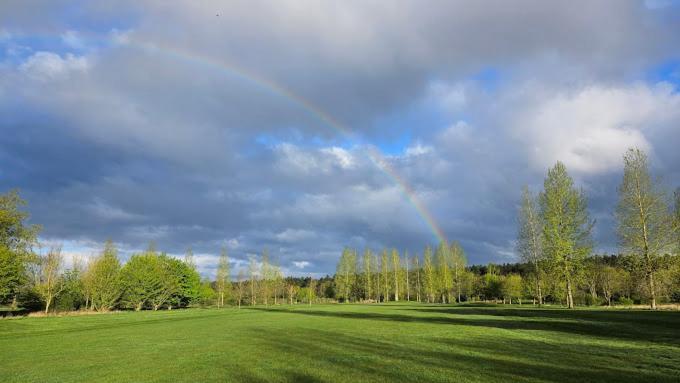 Golf Club * Silverstone
